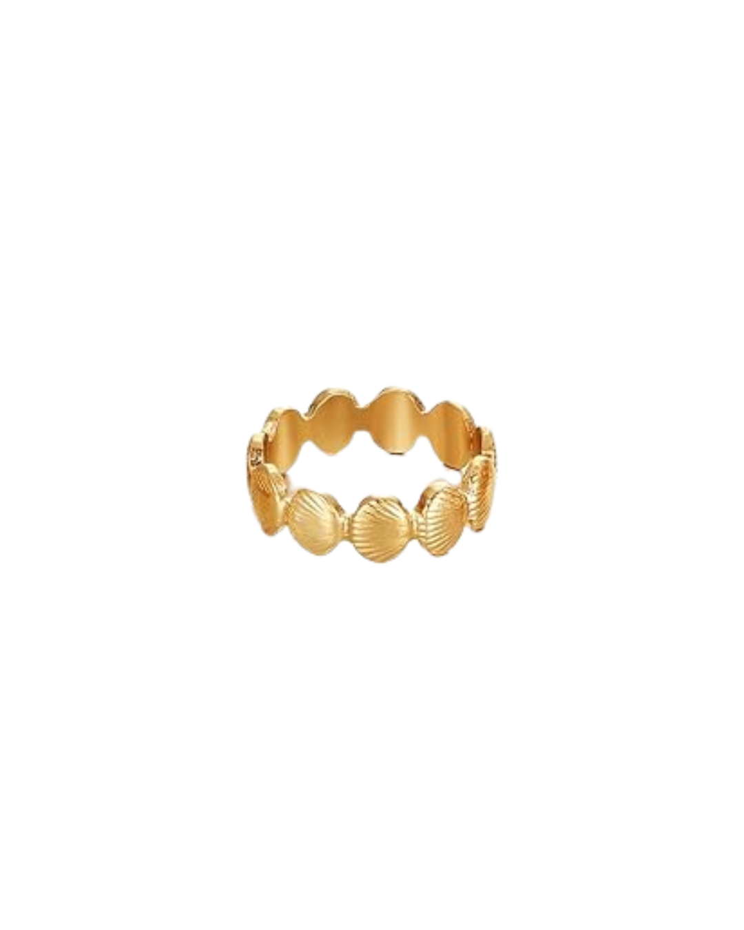 Coastal Shell Band Ring